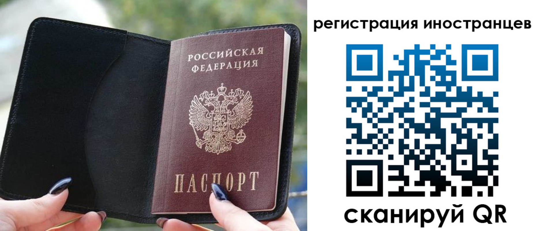 найти адрес прописки в Луге