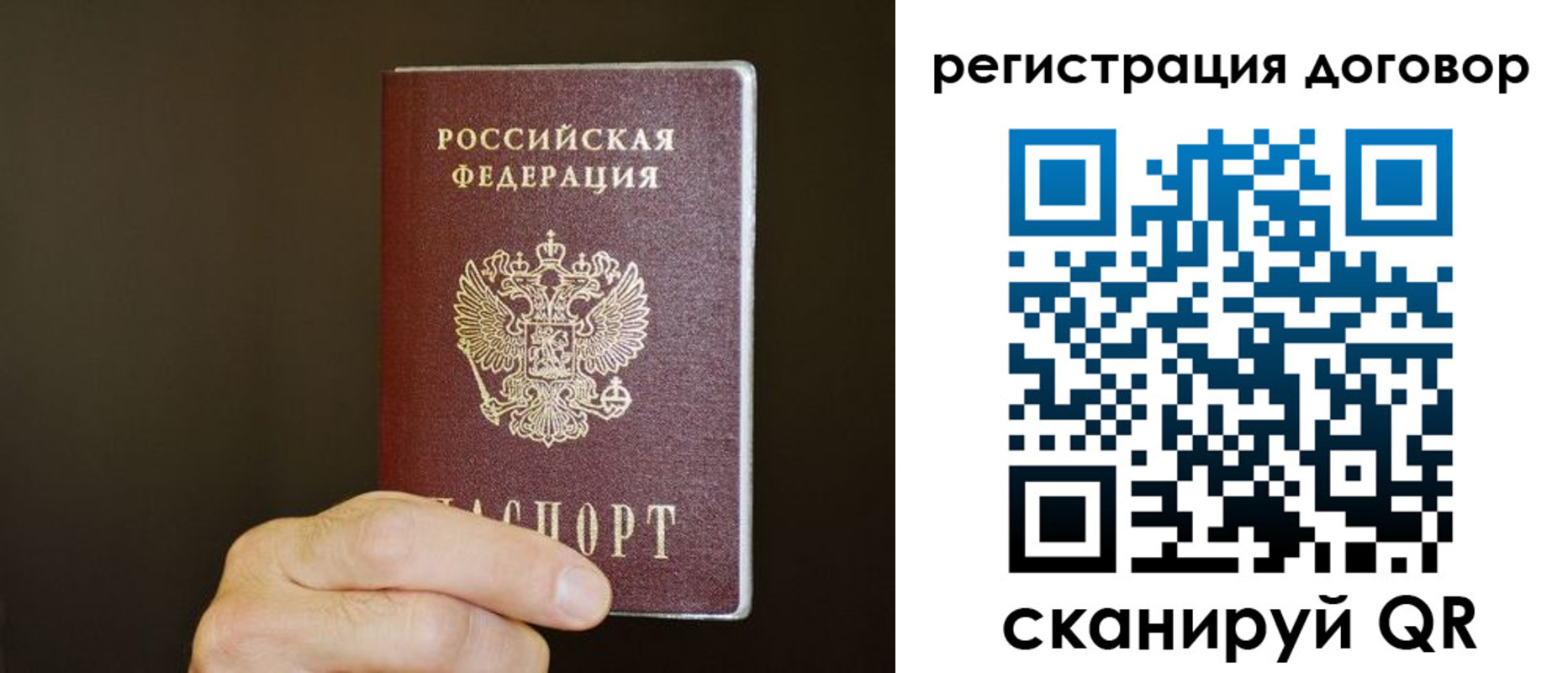 прописка для школы в Луге